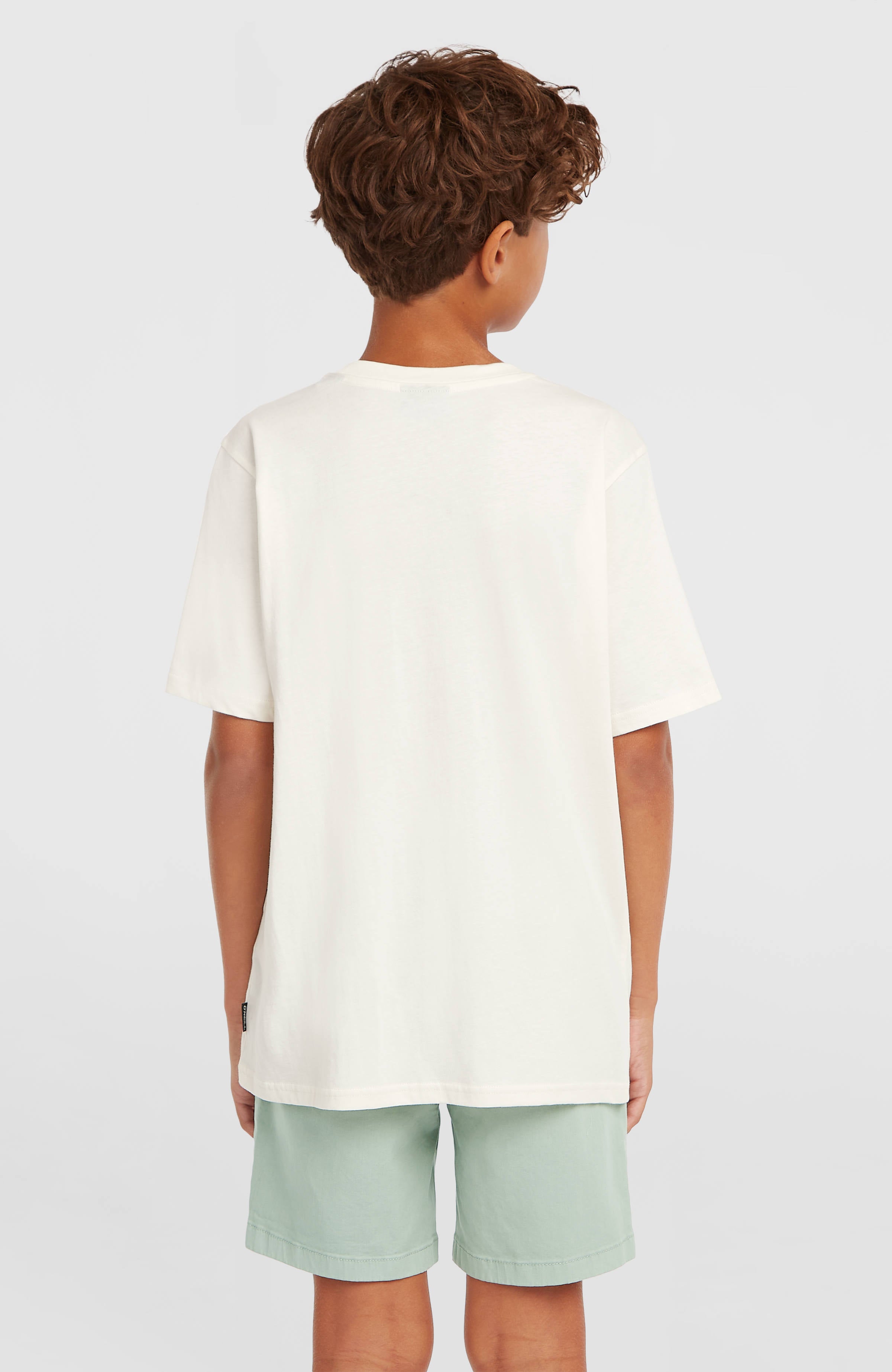 O'Neill Logo Stripe T-shirt