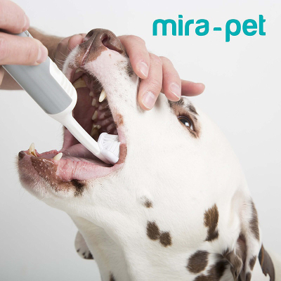 Mira-Pet Ultraschall Zahnreinigung Starter-Set für Hunde