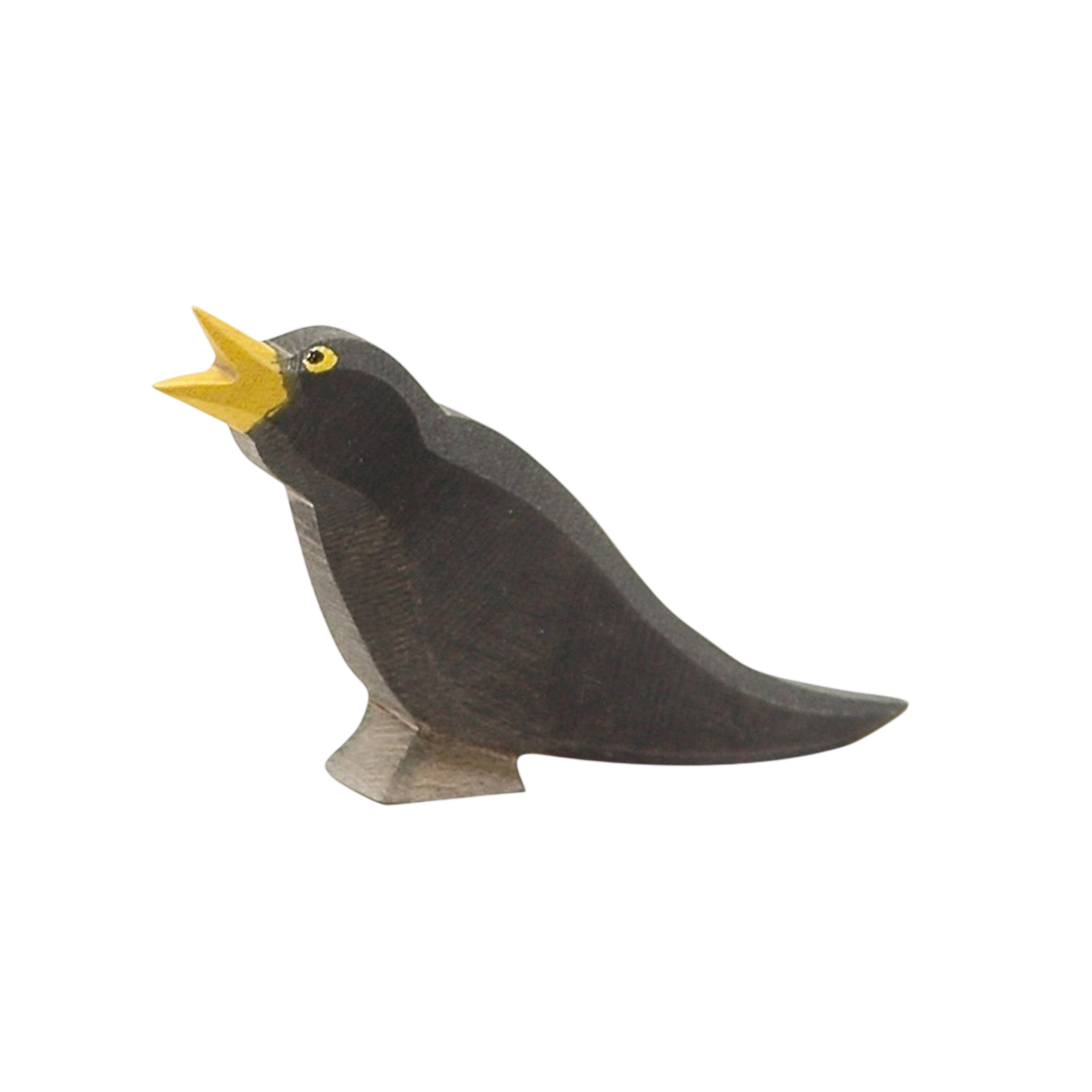Ostheimer Amsel