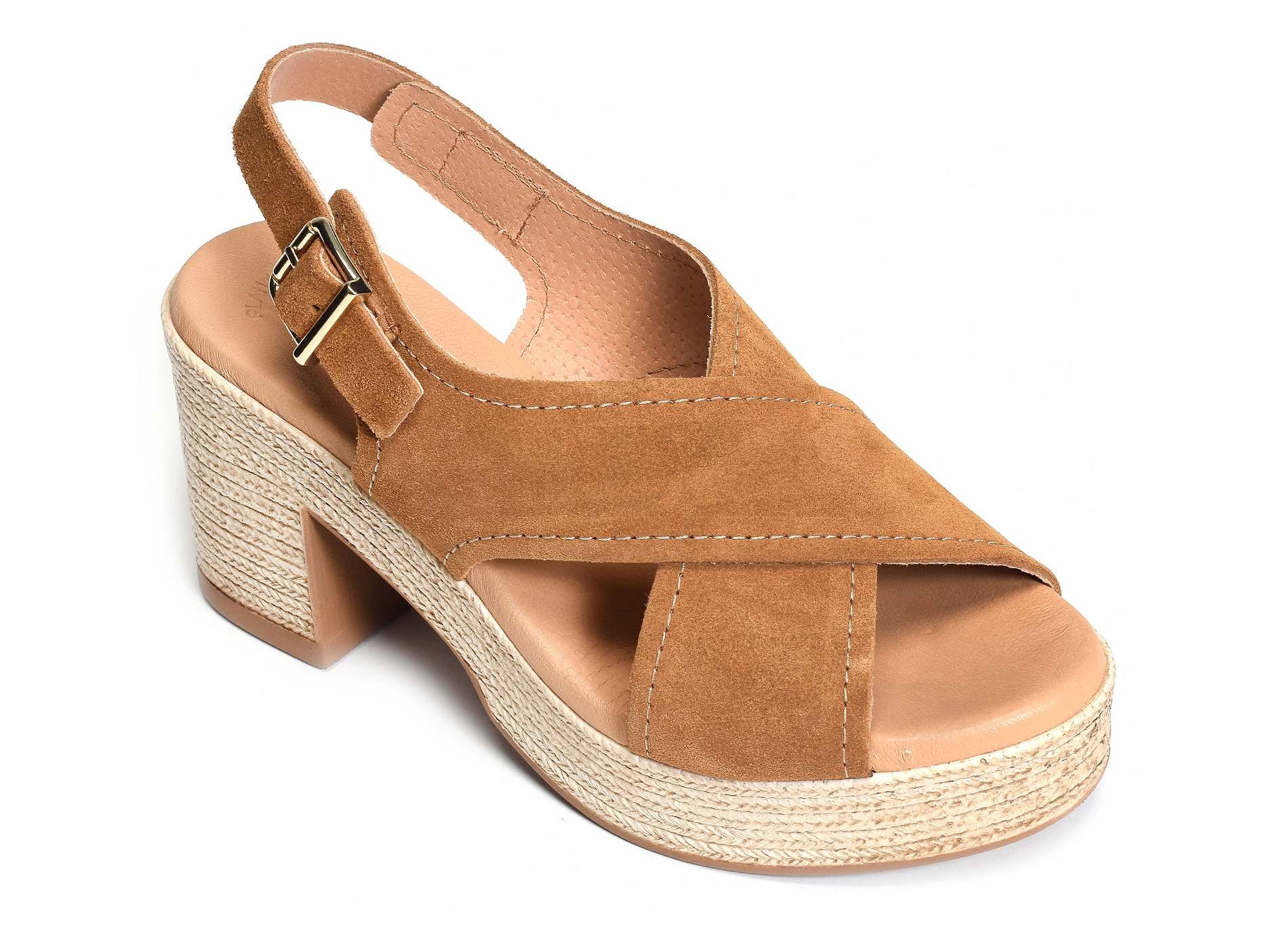 2504 camel