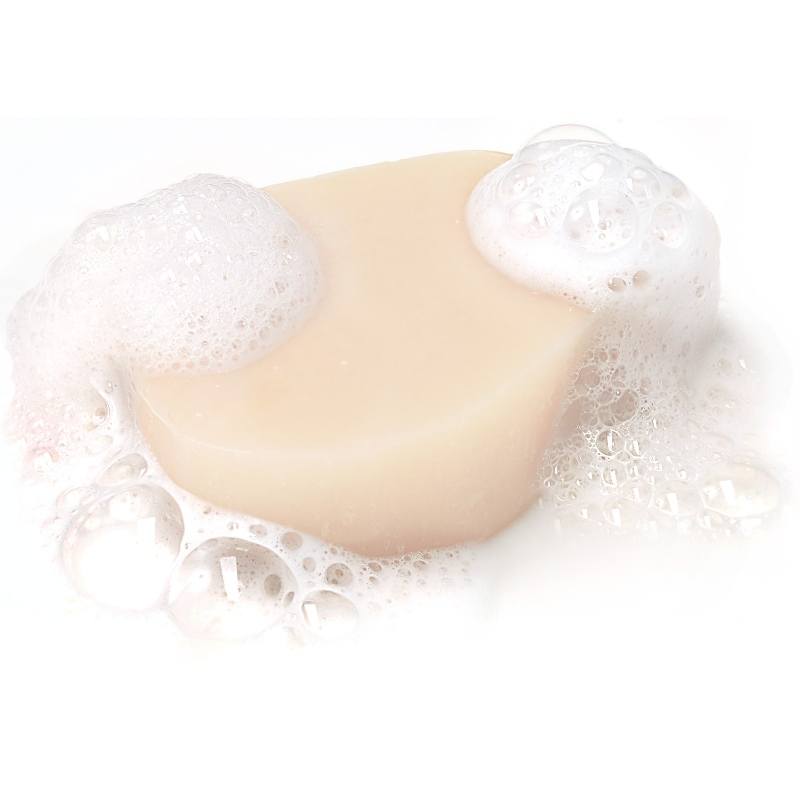 Garnier Respons Solid Shampoo Honey Treasures 60 gr.