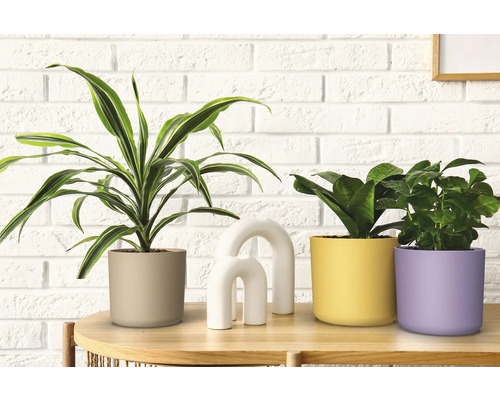 Bloempot van kunststof, 14 x 14 x 12,7 cm, geel