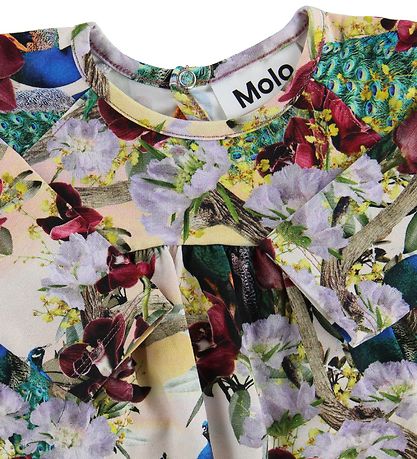 Molo Kleid - Carlys - Orientalische Pfauen