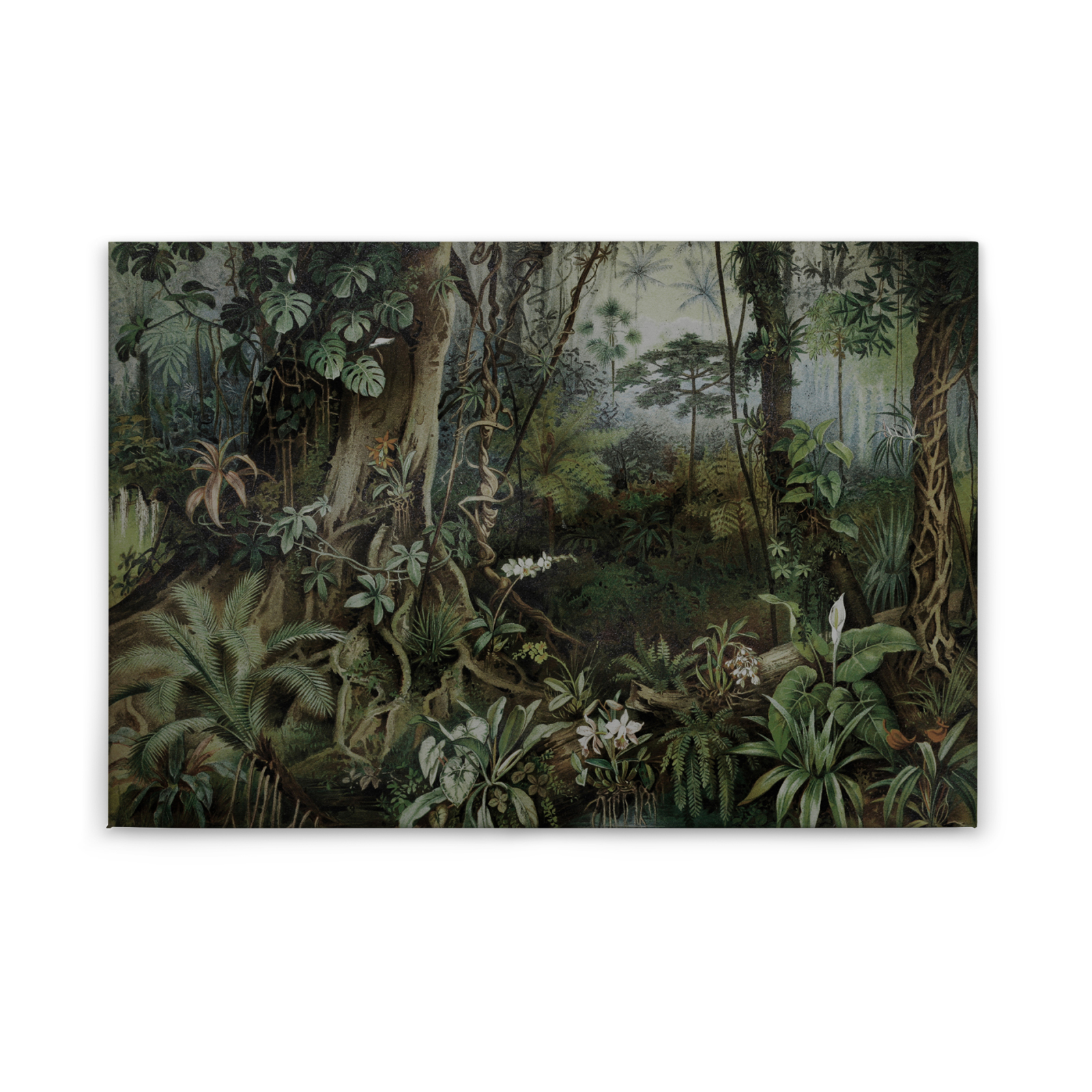 Leinwandbild DSCHUNGEL - grün - 90x60 cm