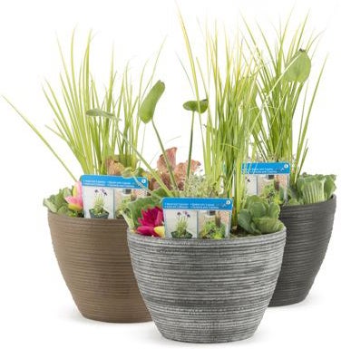Terrasvijver met waterplanten roest D 40 H 35 cm