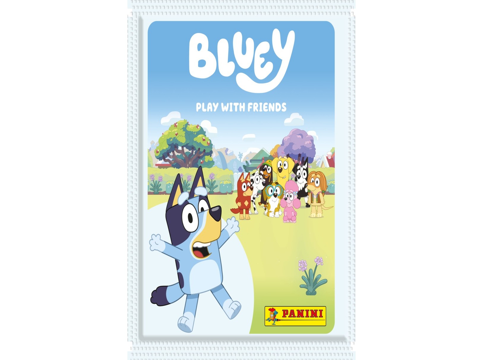 SAQUETA BLUEY 2