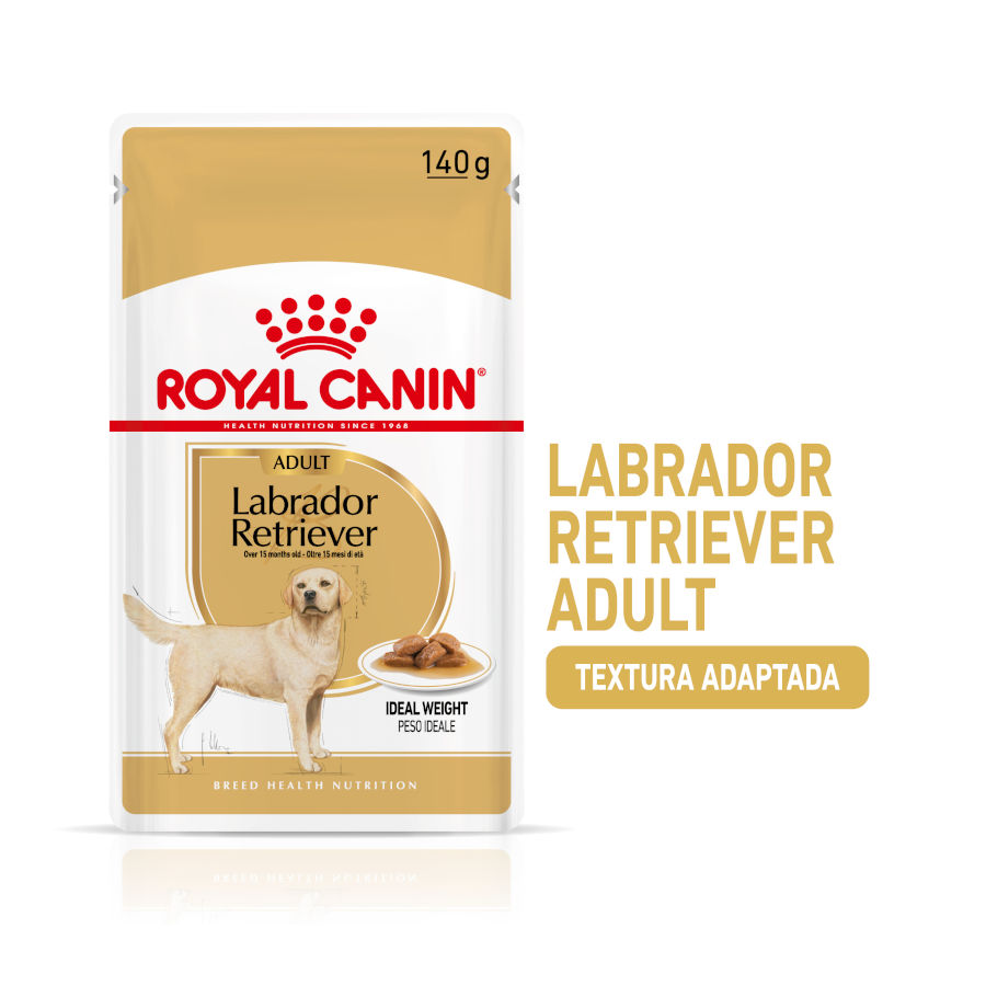 Sachês Royal Canin para Labrador
