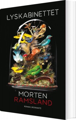 Lyskabinettet - Morten Ramsland - Bog