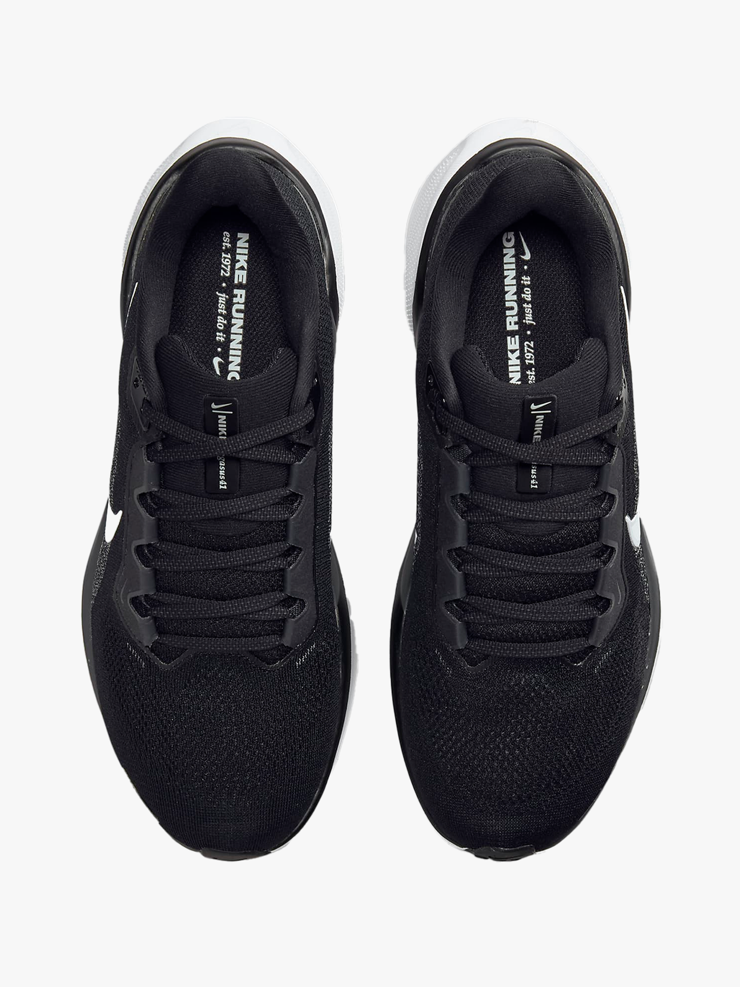 Pegasus 41