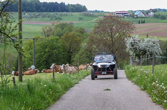 Buggy fahren Meissenheim - On- & Offroad fahren