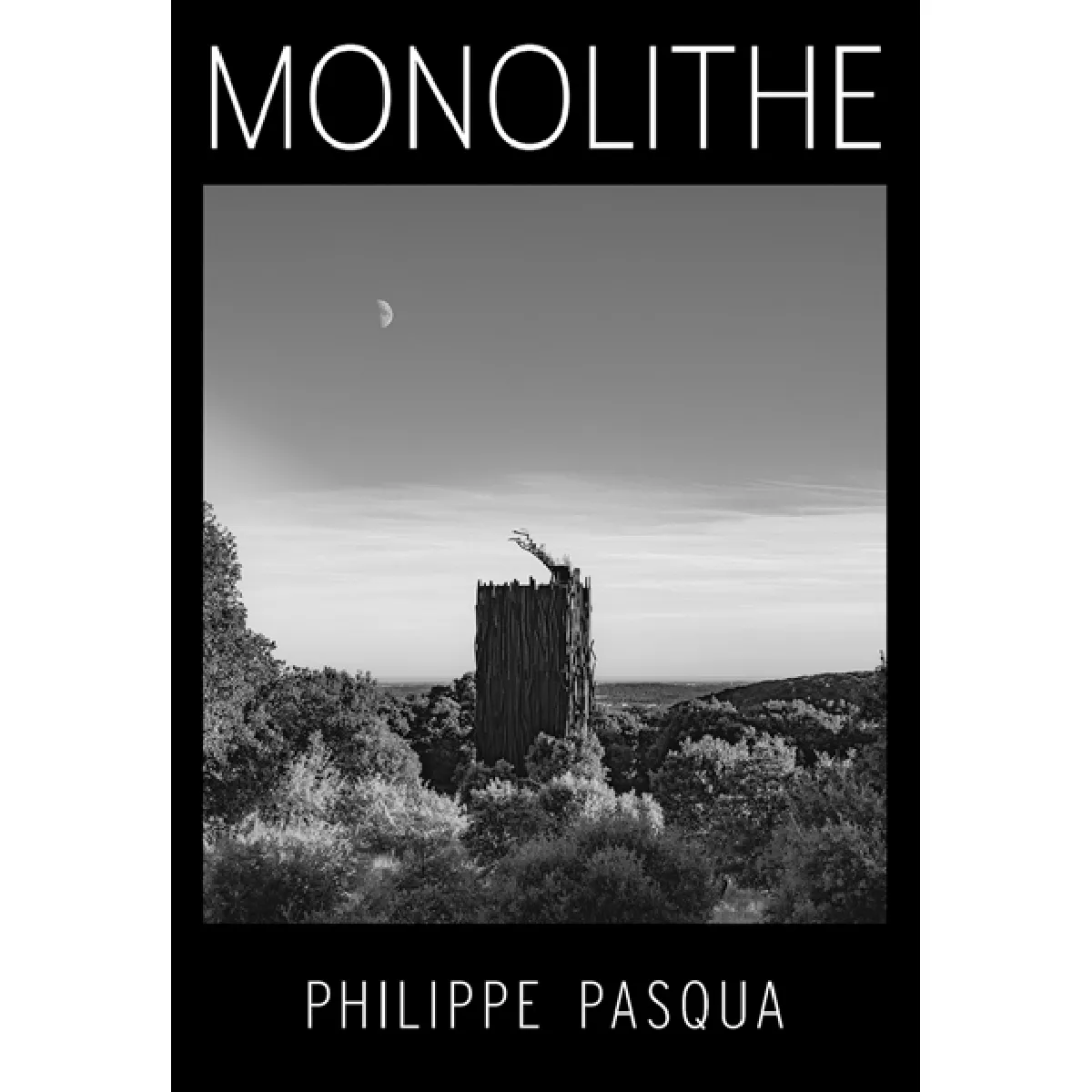 Monolithe : Philippe Pasqua · Occasion