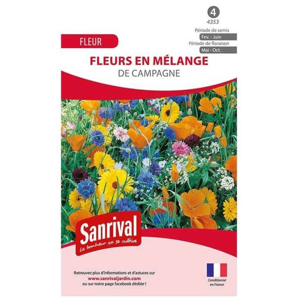 Mélange fleurs des campagnes
