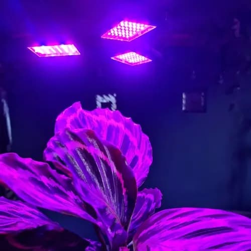 Lampe 108 LED for plantevekst Gardlov 20440