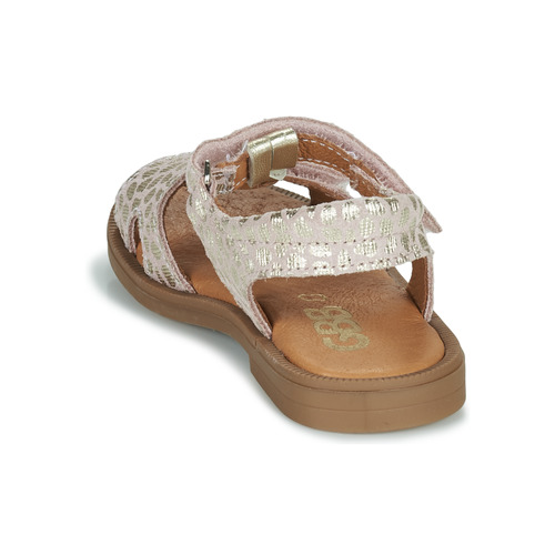 GBB - FARENA - Rose