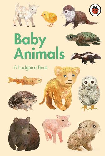 A Ladybird Book: Baby Animals - A Ladybird Book (Hardback)