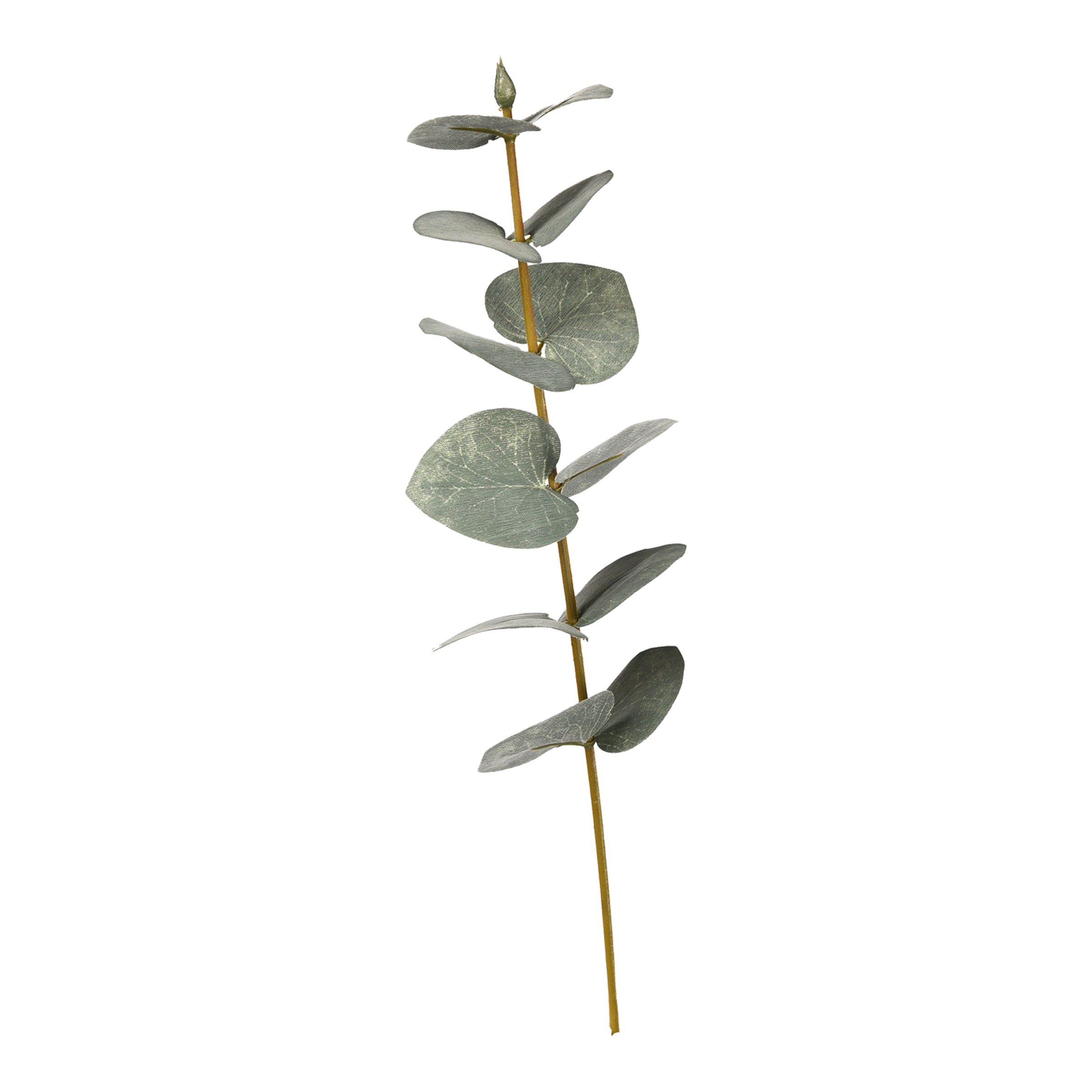 grün, L 27 cm