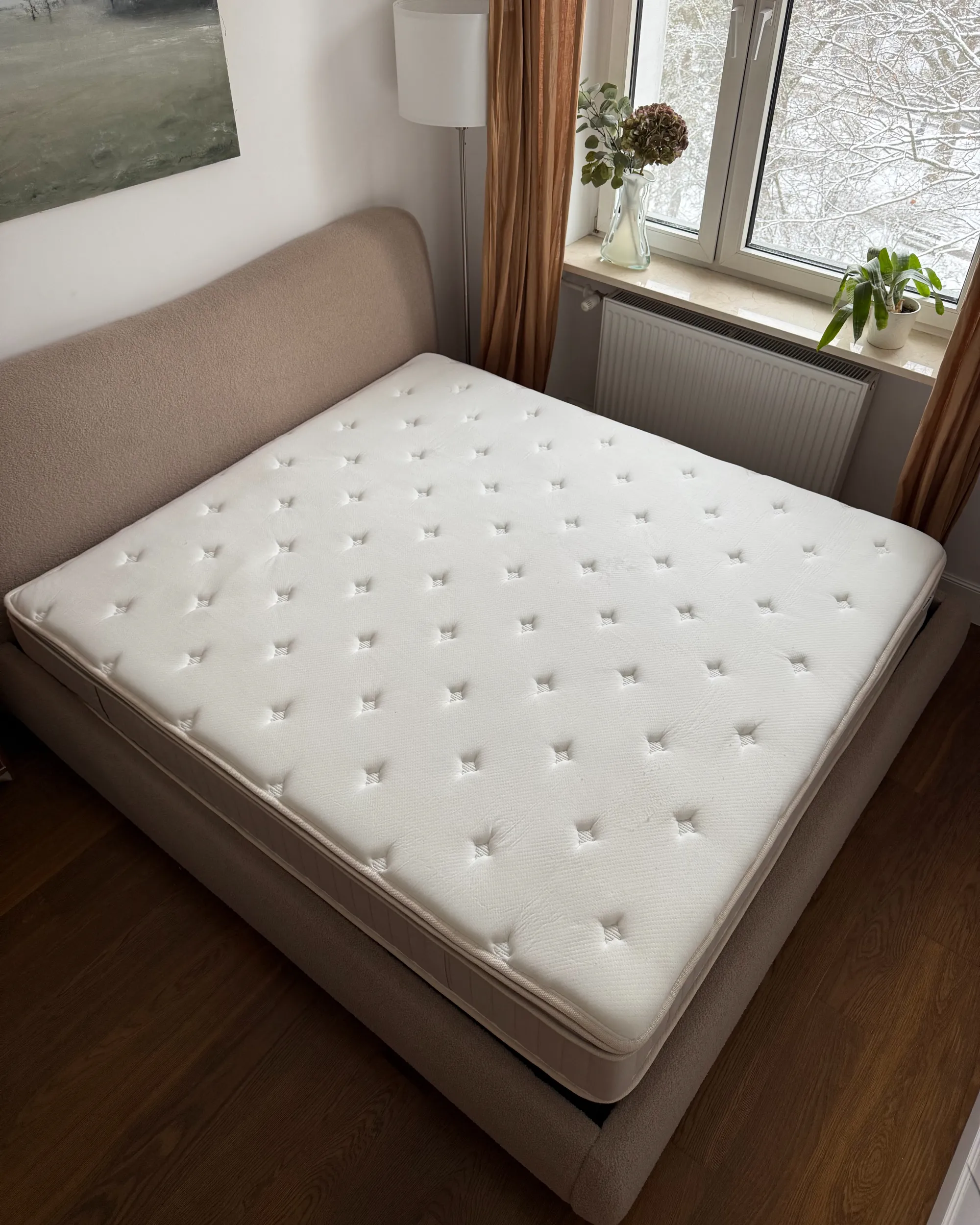 Latex pocketveringmatras DAYDREAM H2/3 Medium 180 x 200 cm