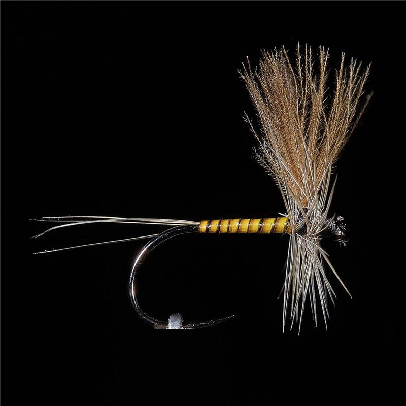 Mouche Jmc Ephemere Eli 12 Bl