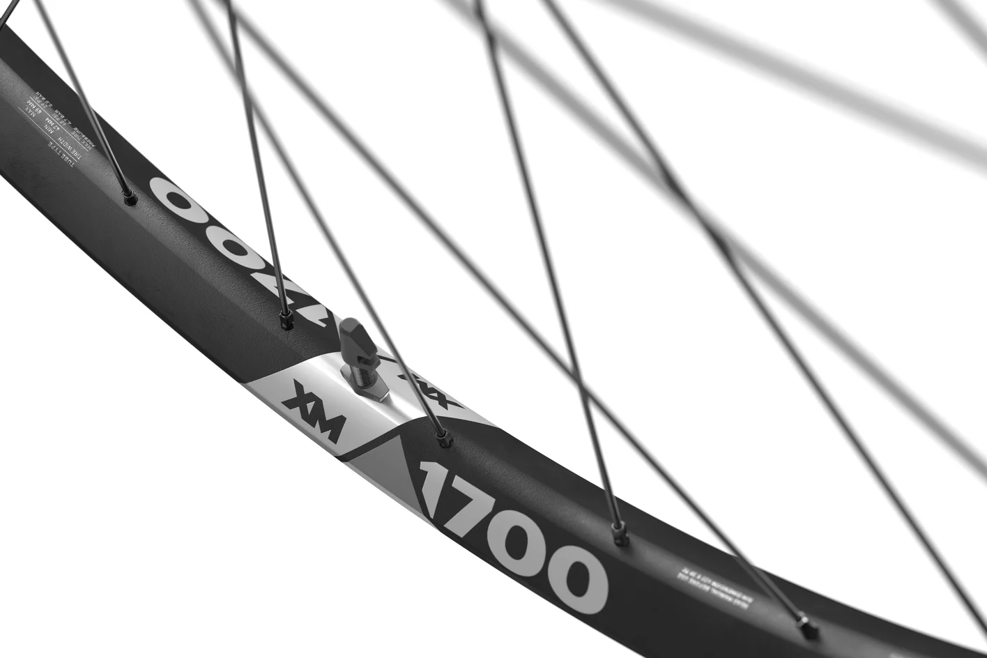 DT Swiss XM 1700 Spline Db 29