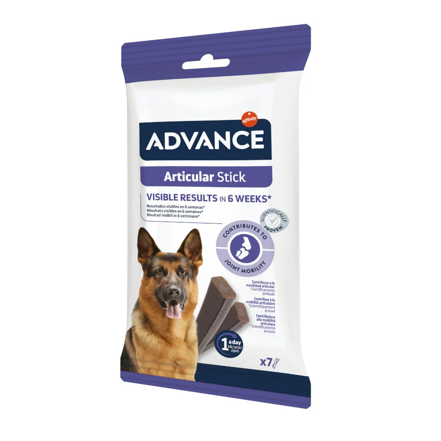 Bastão articular avançado para cães