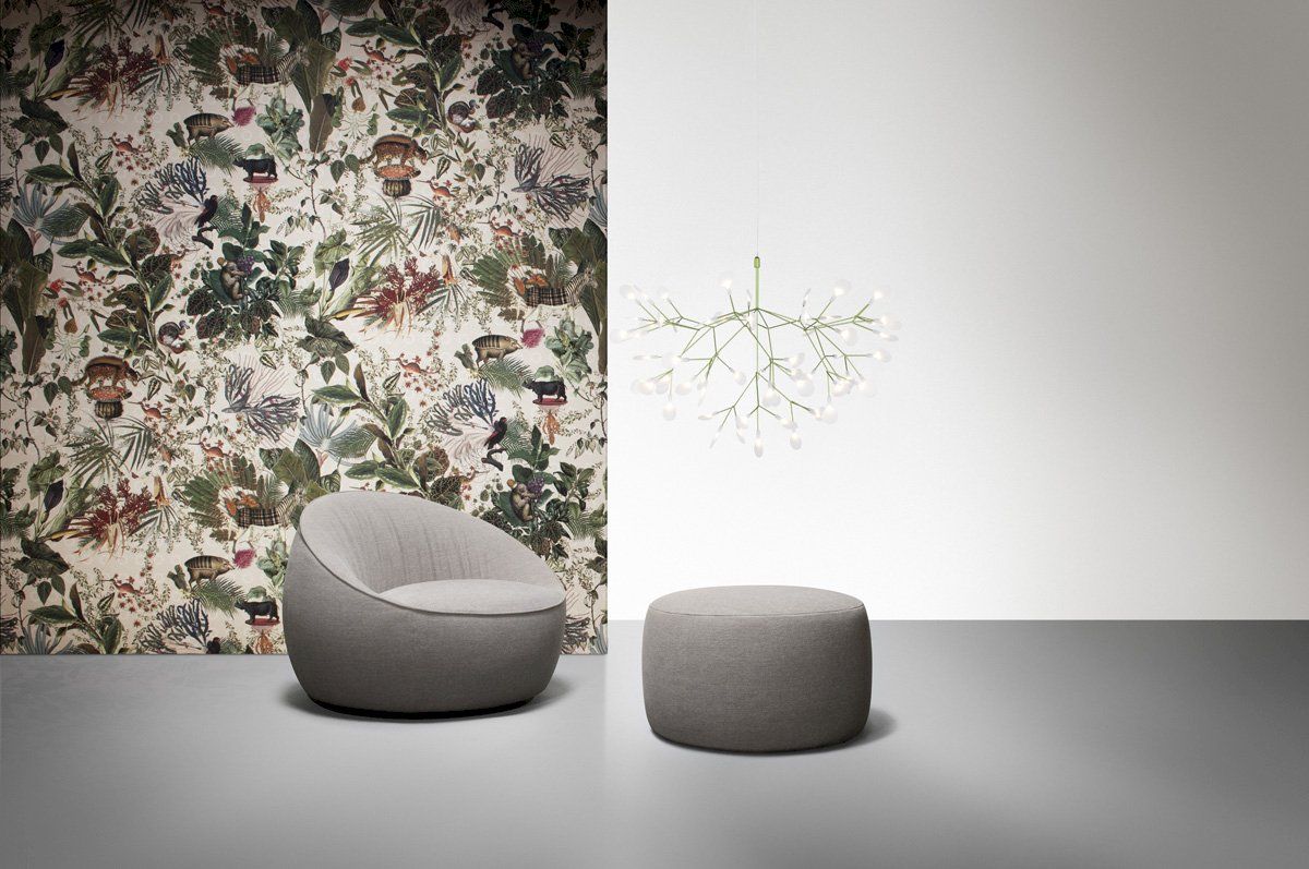 Moooi   Heracleum Hanglamp