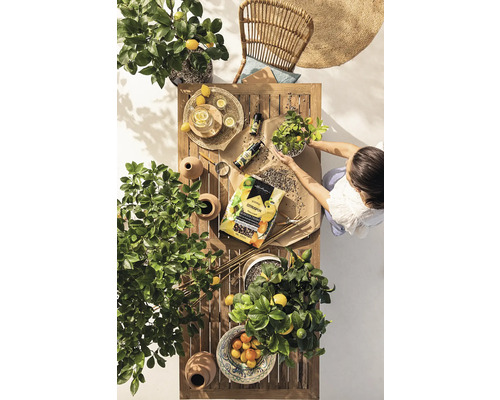 Citrus Pon Lechuza 12l neutraal