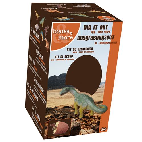 Bones & more opgraafei dinosaurus - assorti