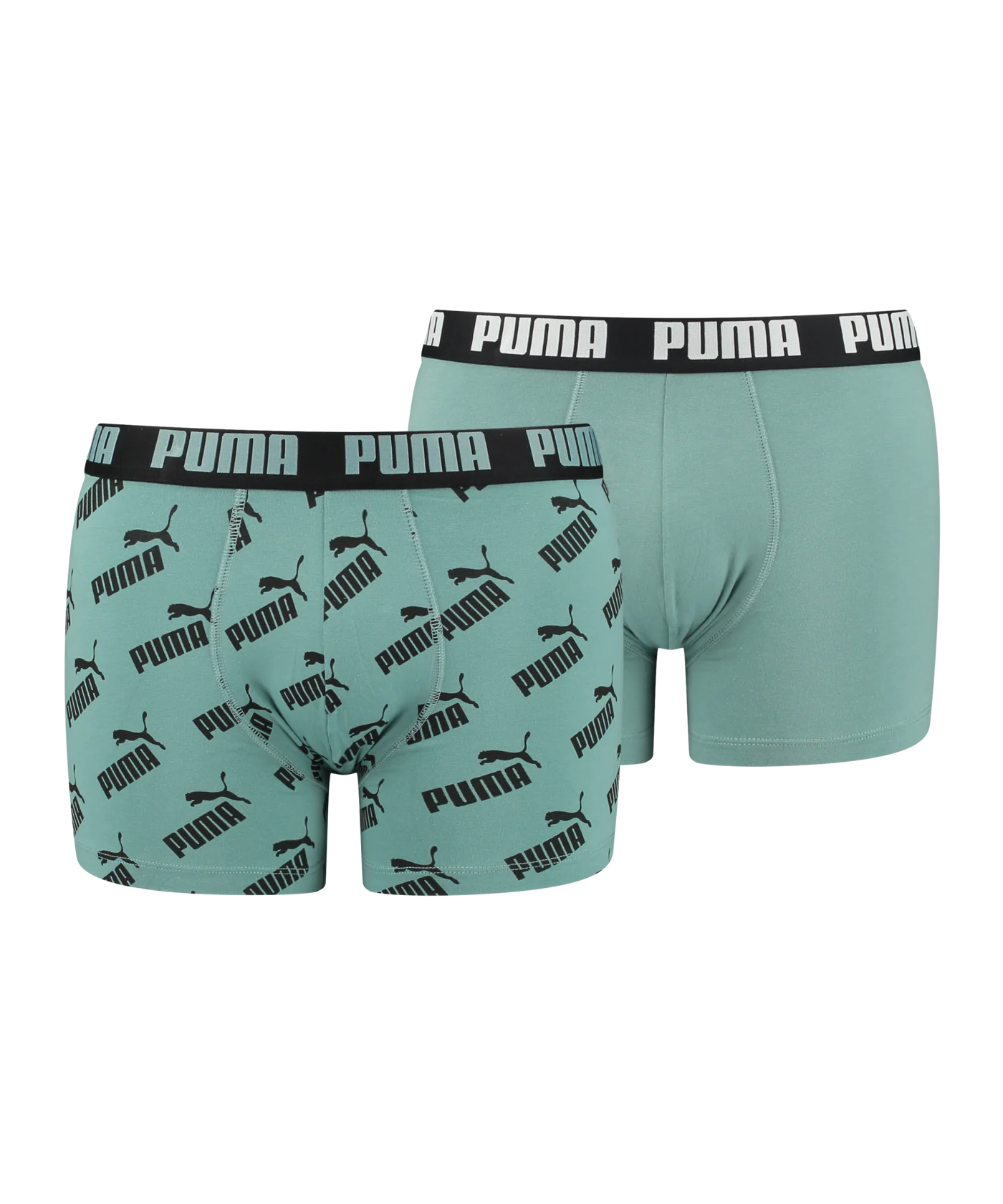 PUMA AOP Boxer 2er Pack Grün F012