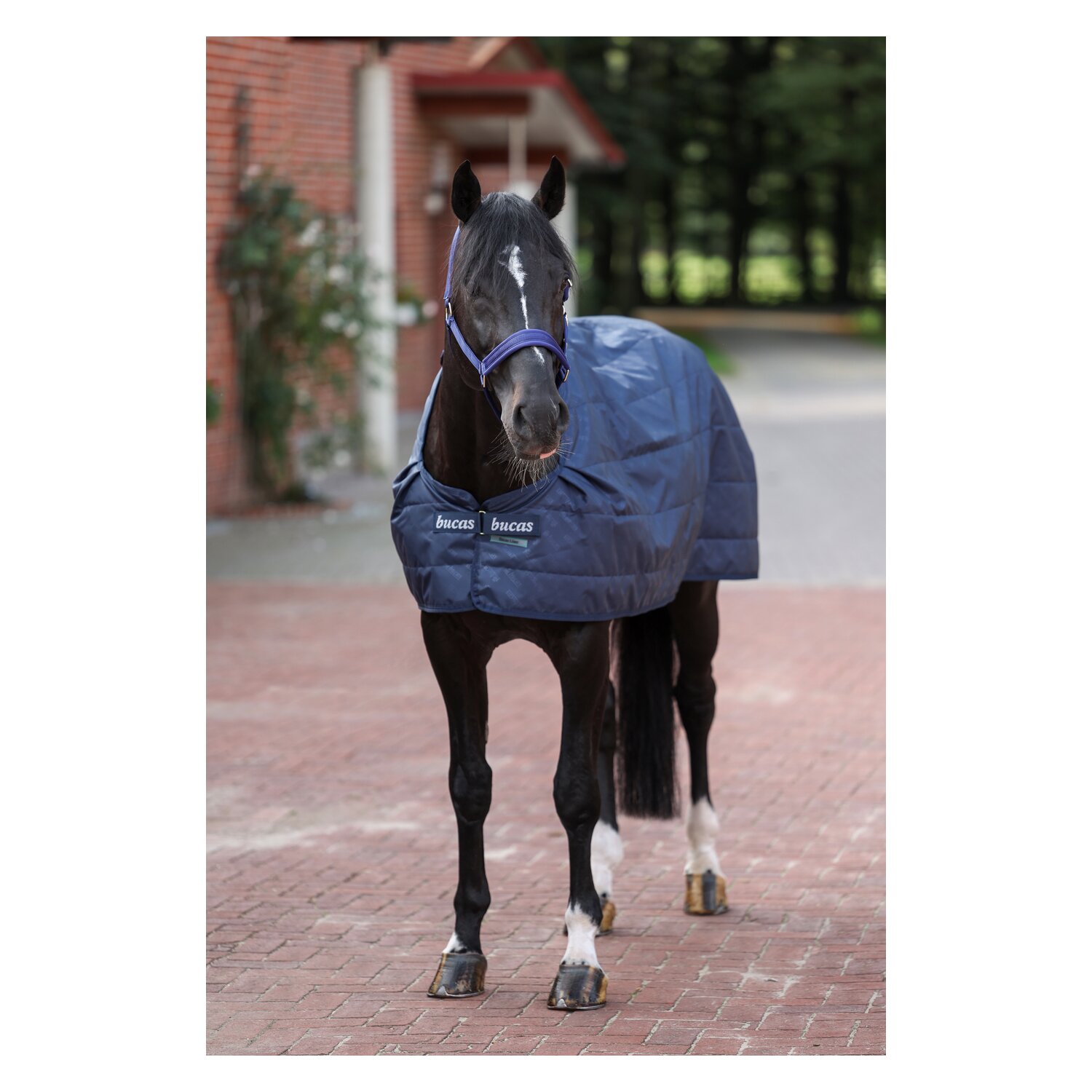 bucas Unterdecke Liner - navy
