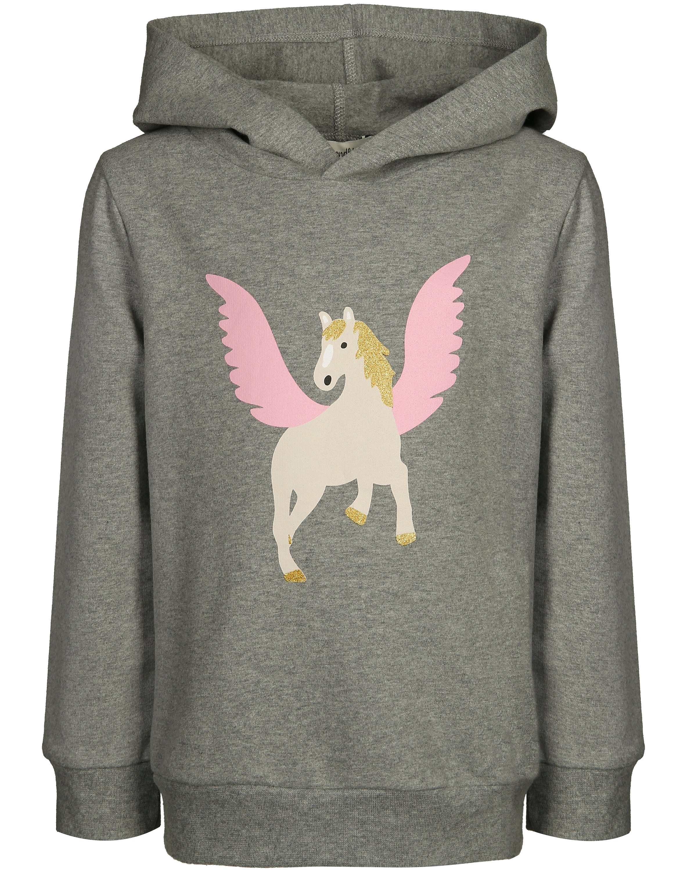 Kapuzen-Sweatshirt PEGASUS in grau