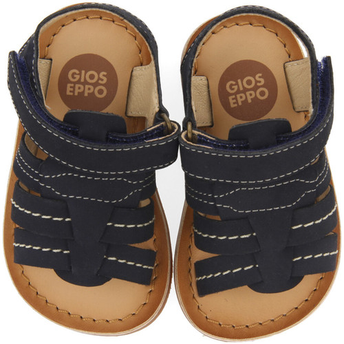 Gioseppo - JATOBA Azul