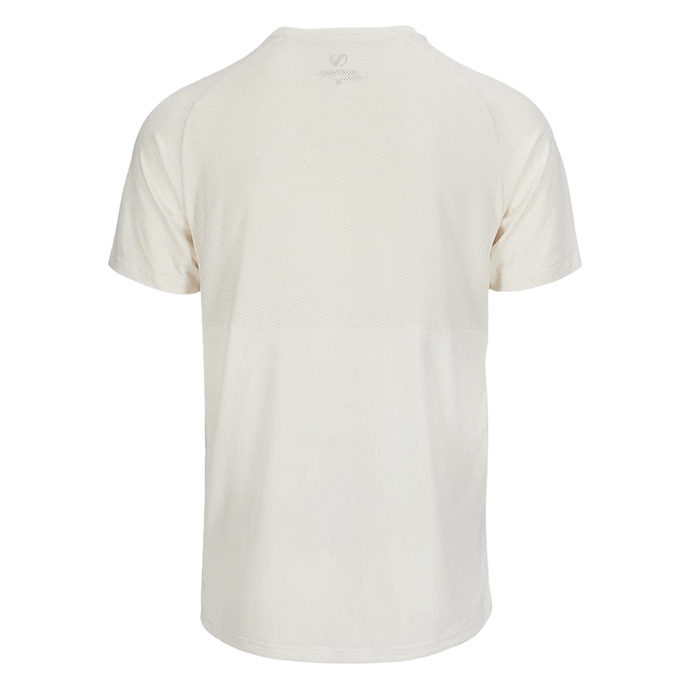 Northug Basic training tee men - Treningstøy
