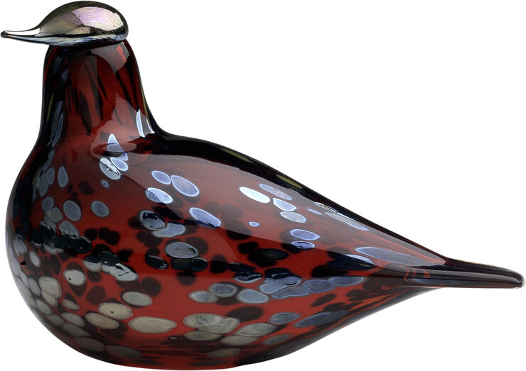 Iittala Rubinnattergal tranebær Rød