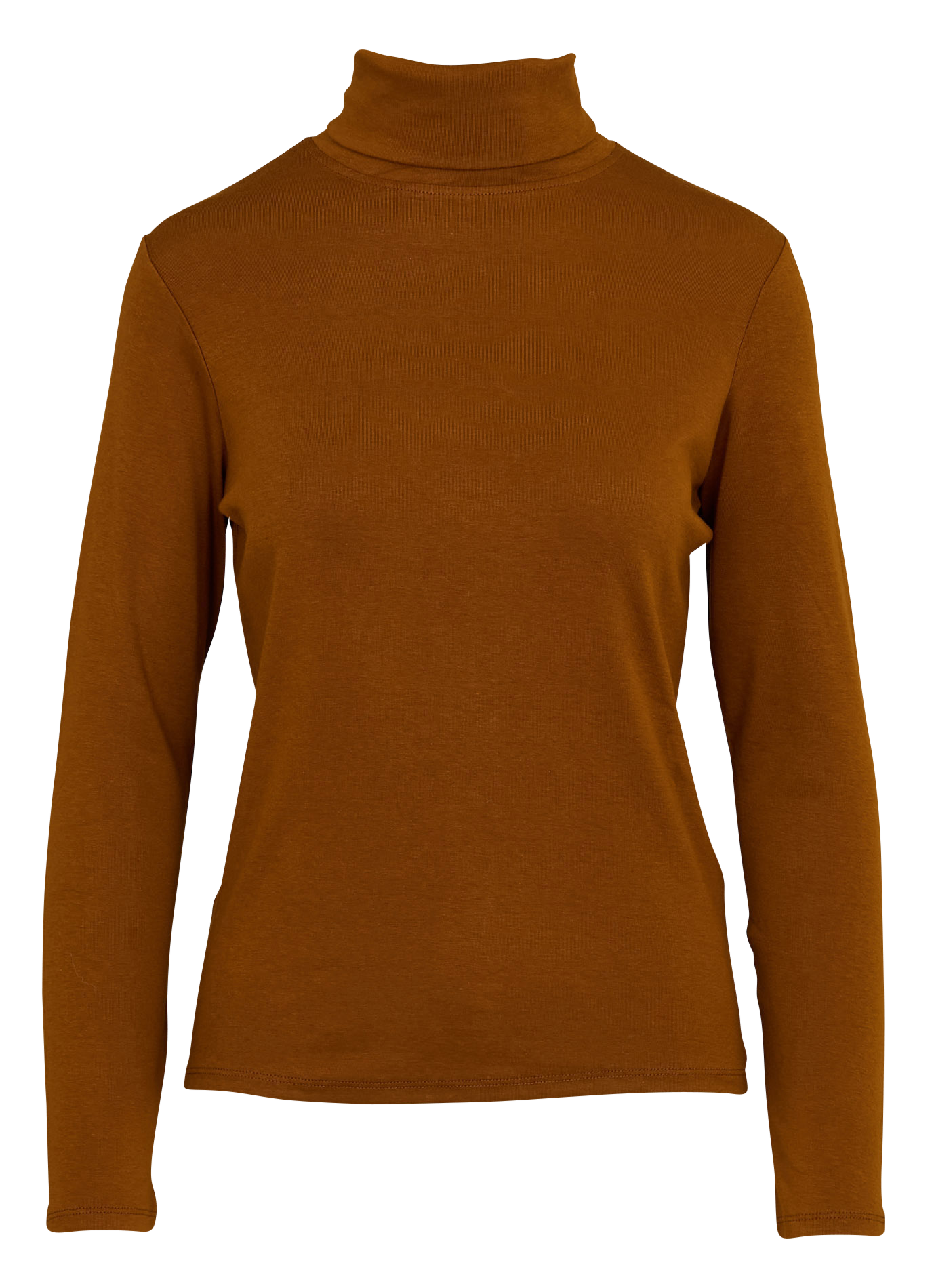 FERGUIE - Tee-shirt droit col roulé | Marron