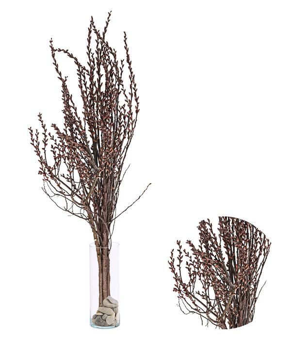 Sumpfkätzchen-Bund, ca. 80-100 cm