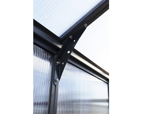 Palram Kas – Canopia Glory 8x16 Dubbelwandige Polycarbonaat Panelen 10 mm incl. Fundering, Goten, Automatische Raamopener 244,5 x 483,5 cm Grijs