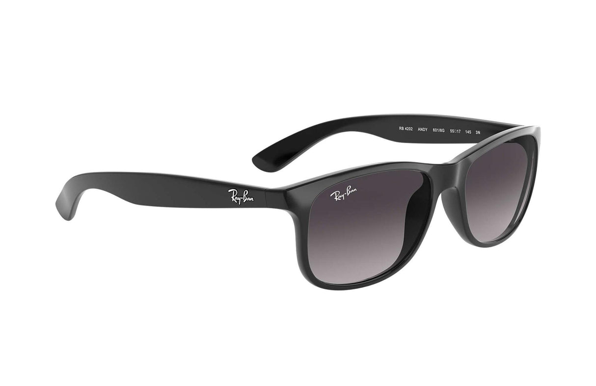 Ray-Ban<br>Andy Black