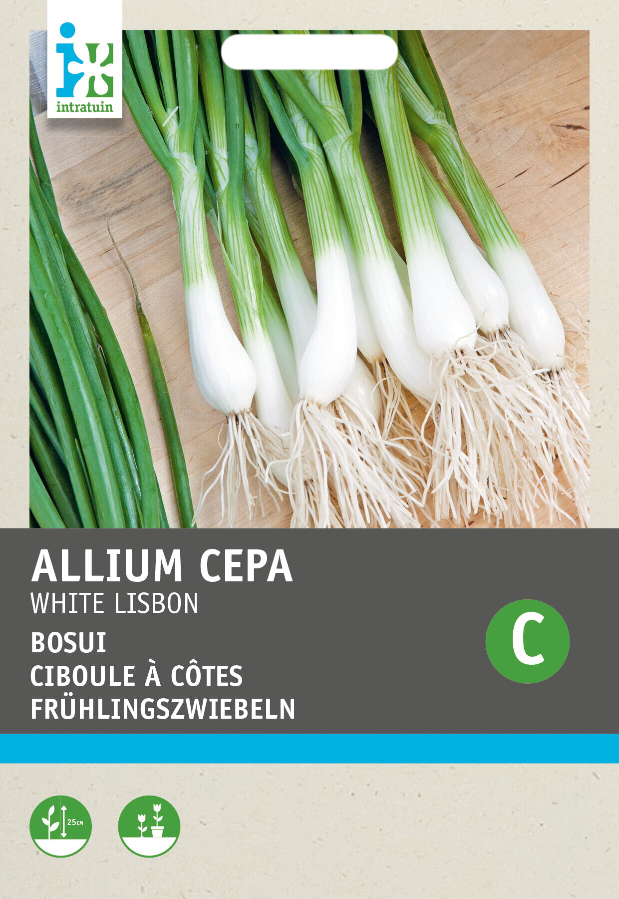 Intratuin groentezaad Bosuien (Allium cepa 'White Lisbon')