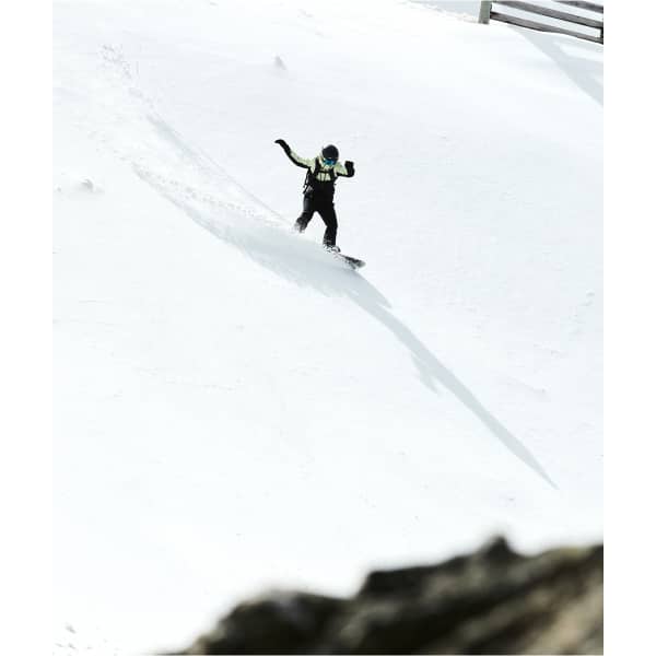 Veste de ski ROXY GORE-TEX STRETCH PURELINES JK BUTTERFLY