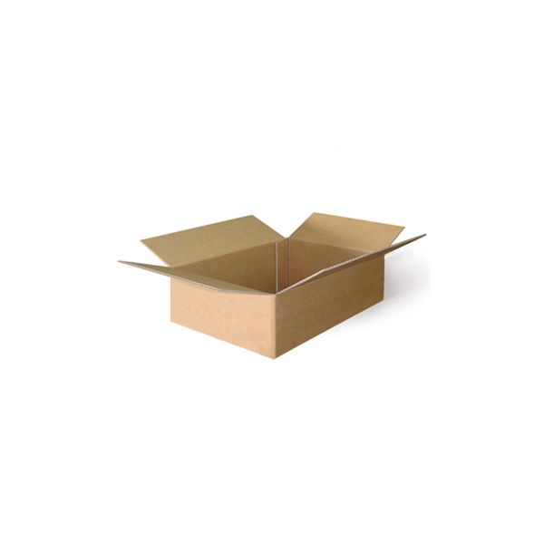 Caixa Cartão Simples 200x150x060mm 25un