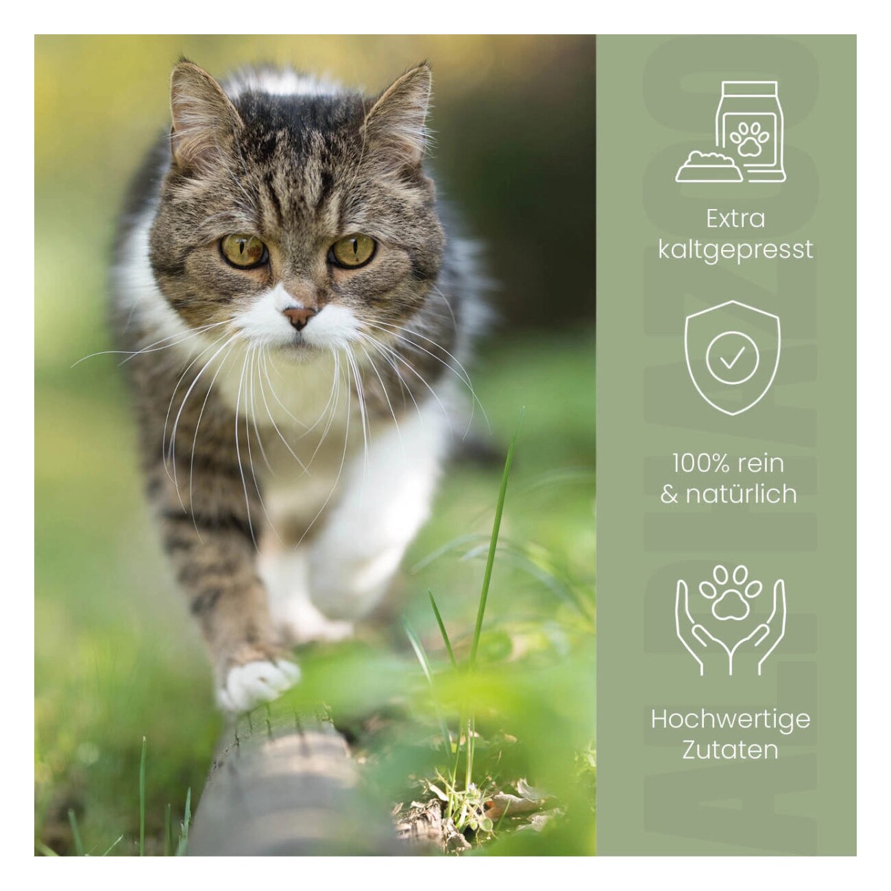 ALPHAZOO Premium Hanföl für Katzen I Entspannung und Fellglanz