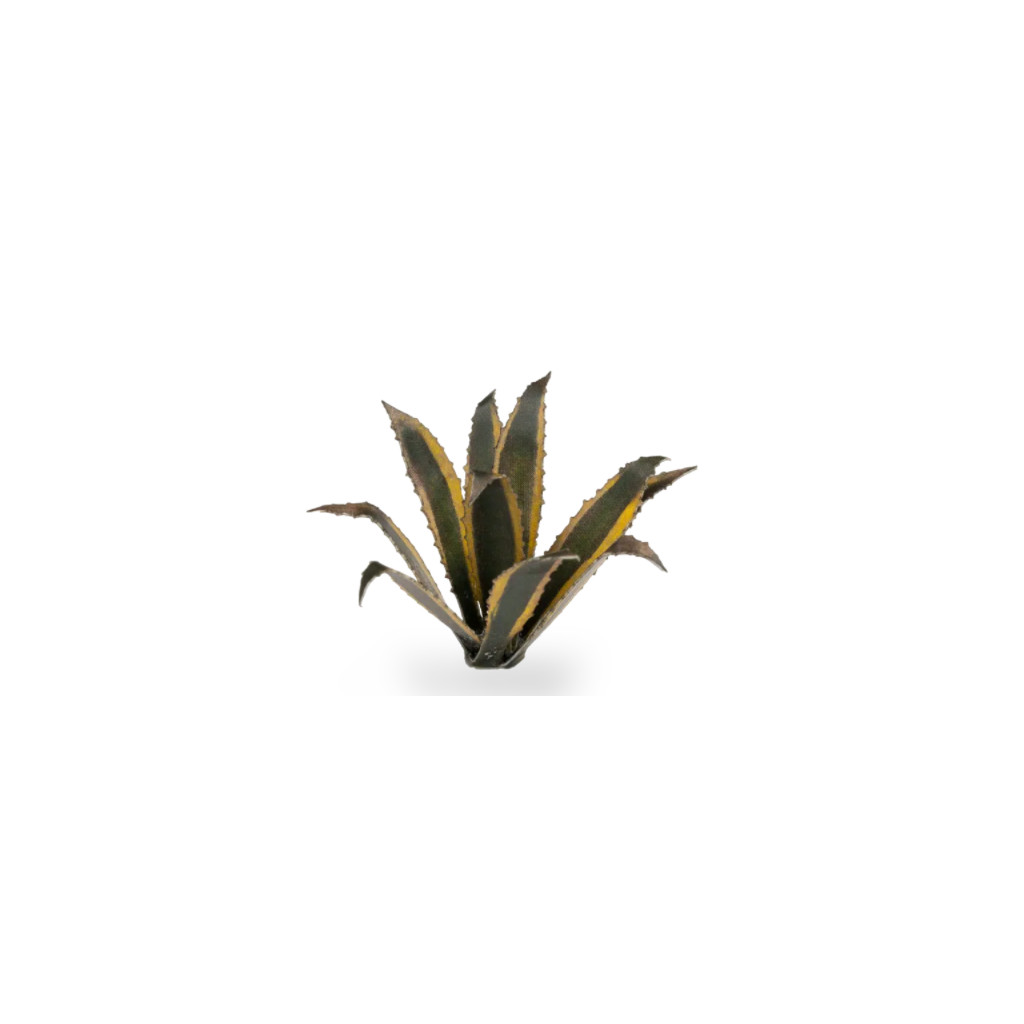 Laser Plants - Agave
