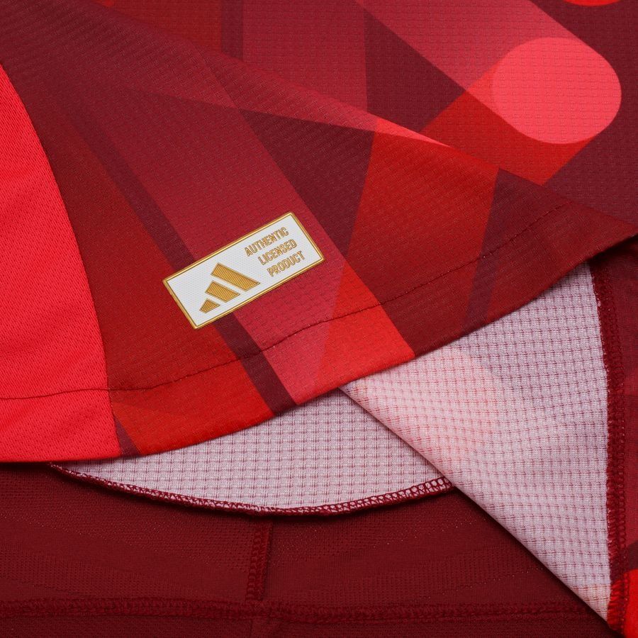 Allemagne Maillot Extérieur Women's EURO 2025 Authentic Femme