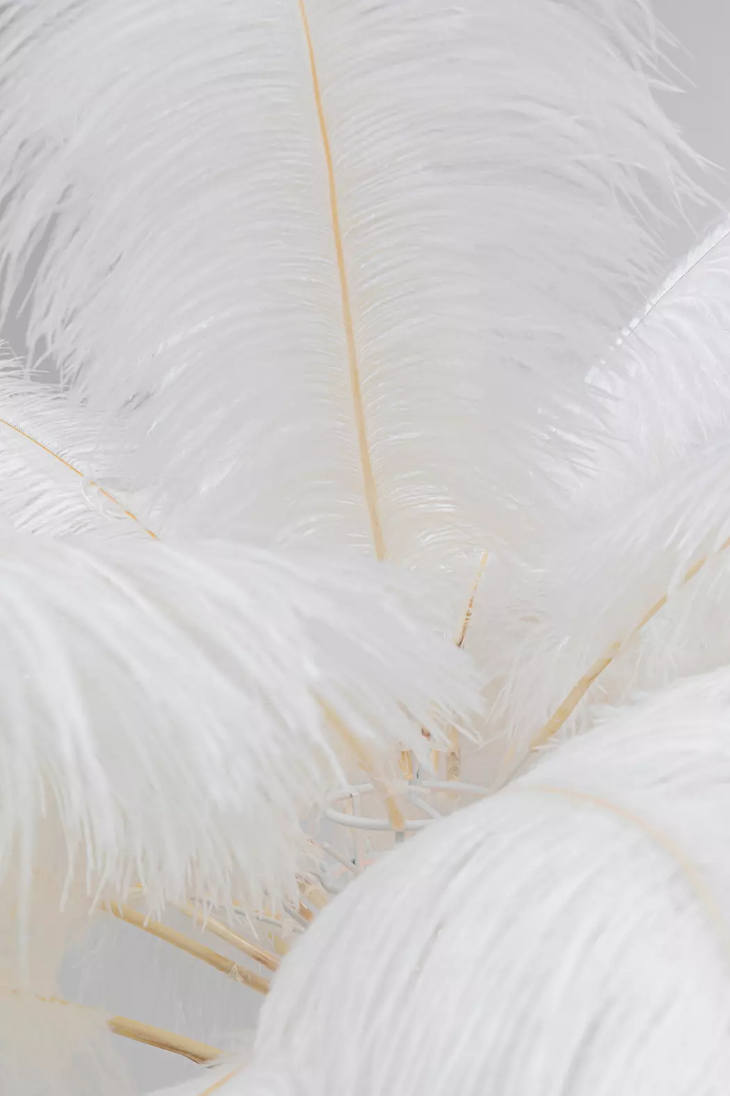 Stehlampe Feather Palm