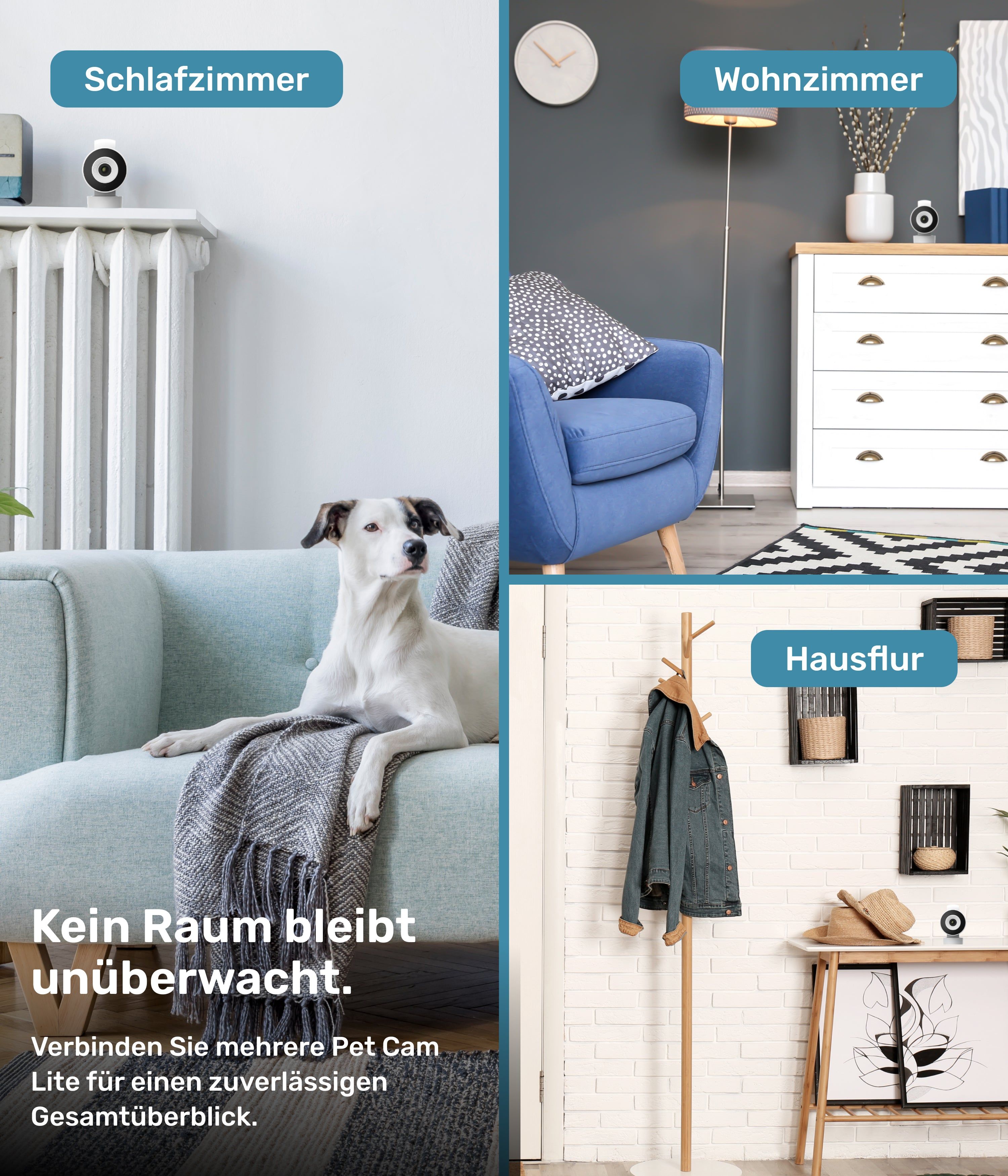 PetTec Pet Cam Lite
