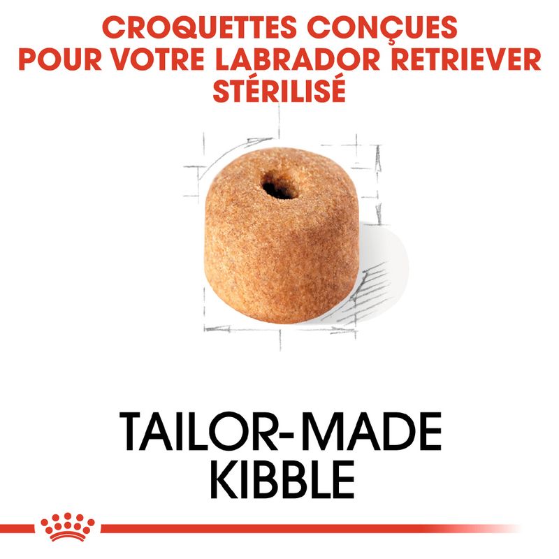 Royal Canin Labrador Retriever Adult Sterilised à Prix Discount | bitiba.fr