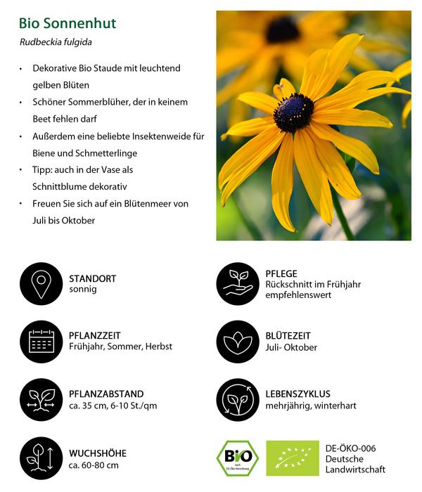 Bio Stauden-Set Bunter Landhausgarten,
