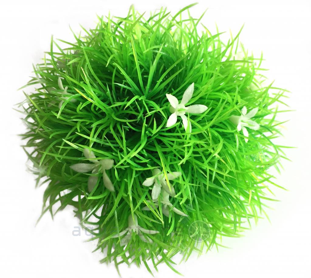 biOrb Moss ball with Daisies