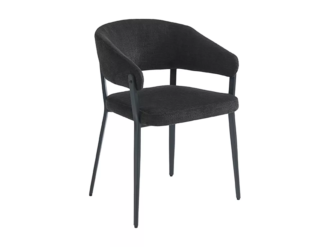 Lot de 2 chaises avec accoudoirs en tissu et métal - Noir - AVRELA