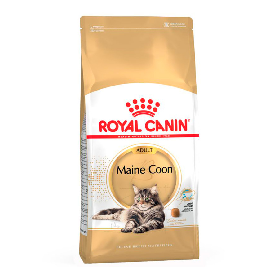 Ração Royal Canin Adult Maine Coon para gatos